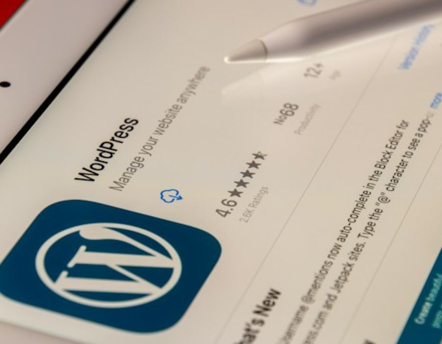 the WordPress logo