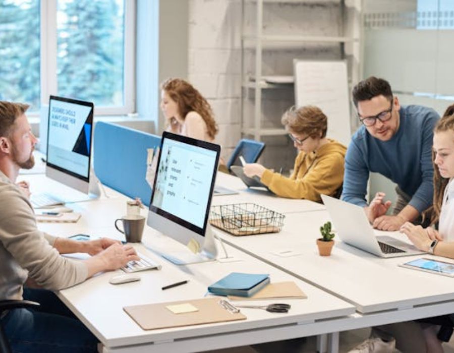 people in an office working on computers